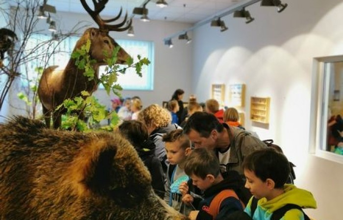 wycieczka_klasy_4_10