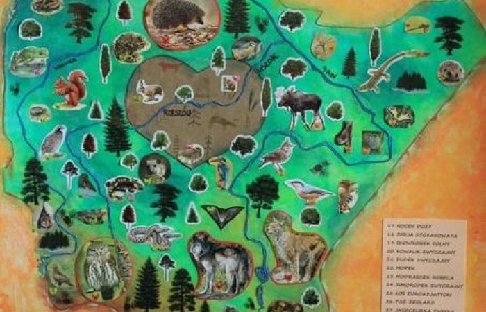 konkurs_3a_biedronka_03