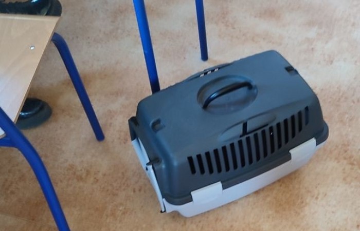 DZIEN_WIOSNY_SP2_2022_20