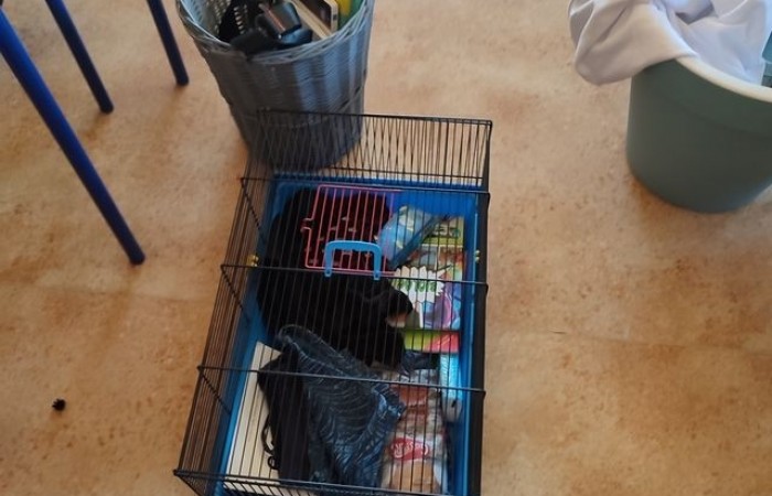 DZIEN_WIOSNY_SP2_2022_21