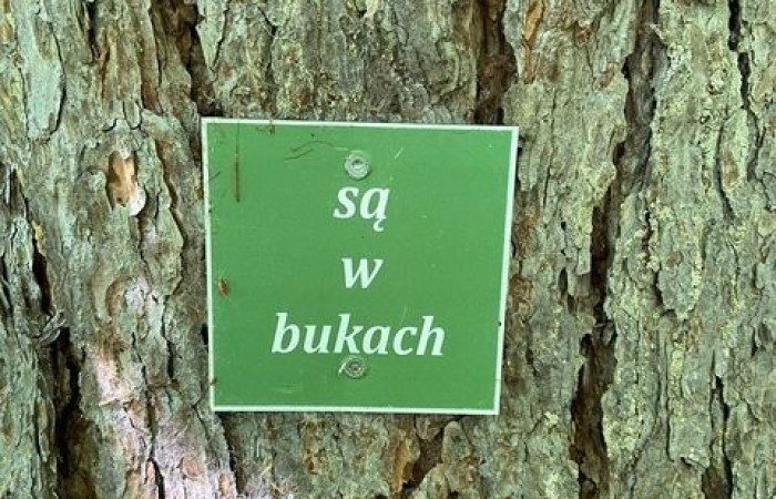 wycieczka_Bieszczady_2022_19