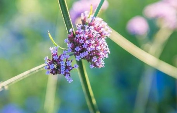 4_rajd_rowerowy_2022