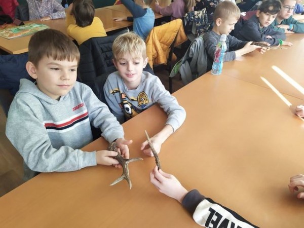 muzeum_lowiectwa_3a_06