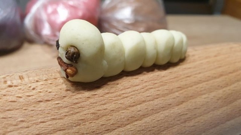 swietlica_wrzesien_2022_05