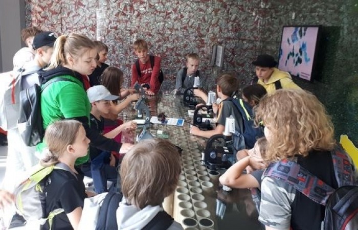 zoom_natury_janow_lubelski_16