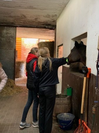 8a_Janow_Lubelski_27