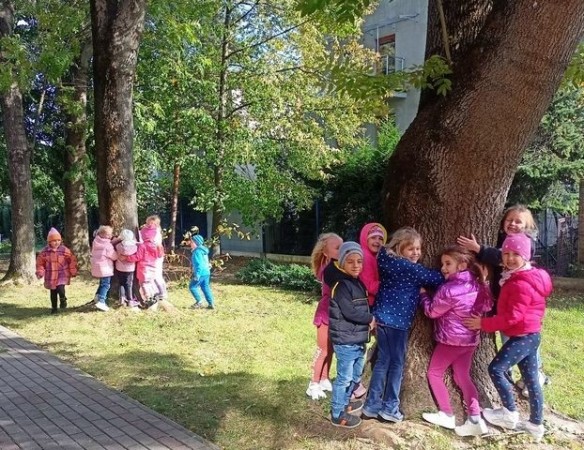 SWIATOWY_DZIEN_DRZEWA