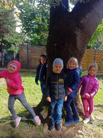 SWIATOWY_DZIEN_DRZEWA_02