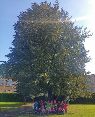 SWIATOWY_DZIEN_DRZEWA_03